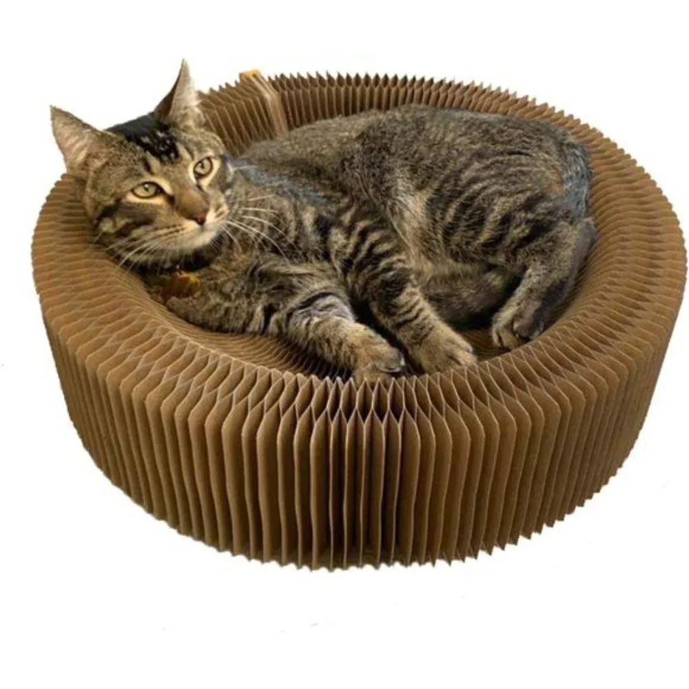 Cat Scratcher Lounge Bed - Collapsible Round Shape for Big cat